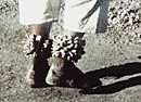 Zulu ankle rattlers Traditional ankle rattles