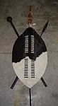 Nguni hide Zulu shield