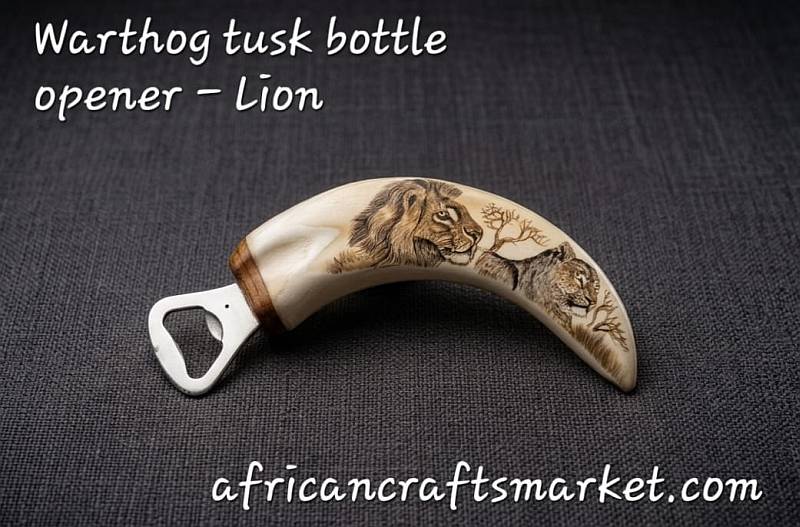 Intricate black ink scrimshaw artwork of a majestic male lion head etched onto a polished genuine warthog tusk bottle opener handle