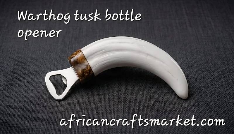 A genuine, uncarved African warthog tusk bottle opener showcasing its natural ivory growth lines, rustic texture, and polished finish