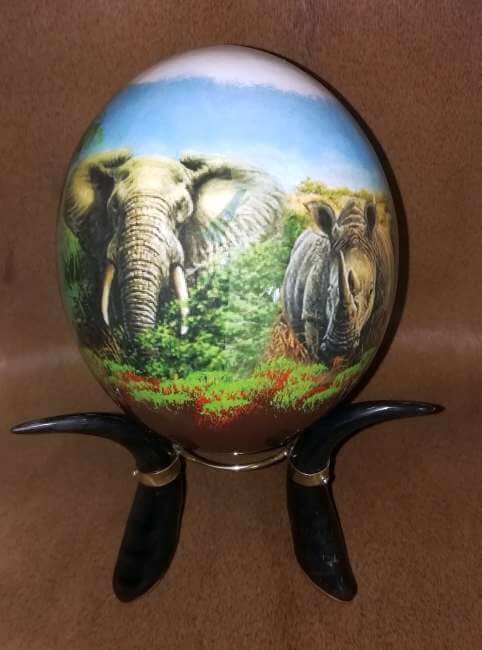 ostrich egg African animals