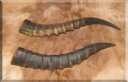 Blesbok horns