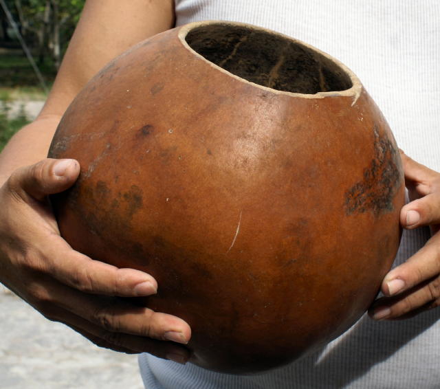 Calabash bowls