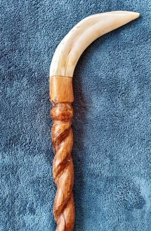 Cane warthog tusk handle Cane warthog tusk handle