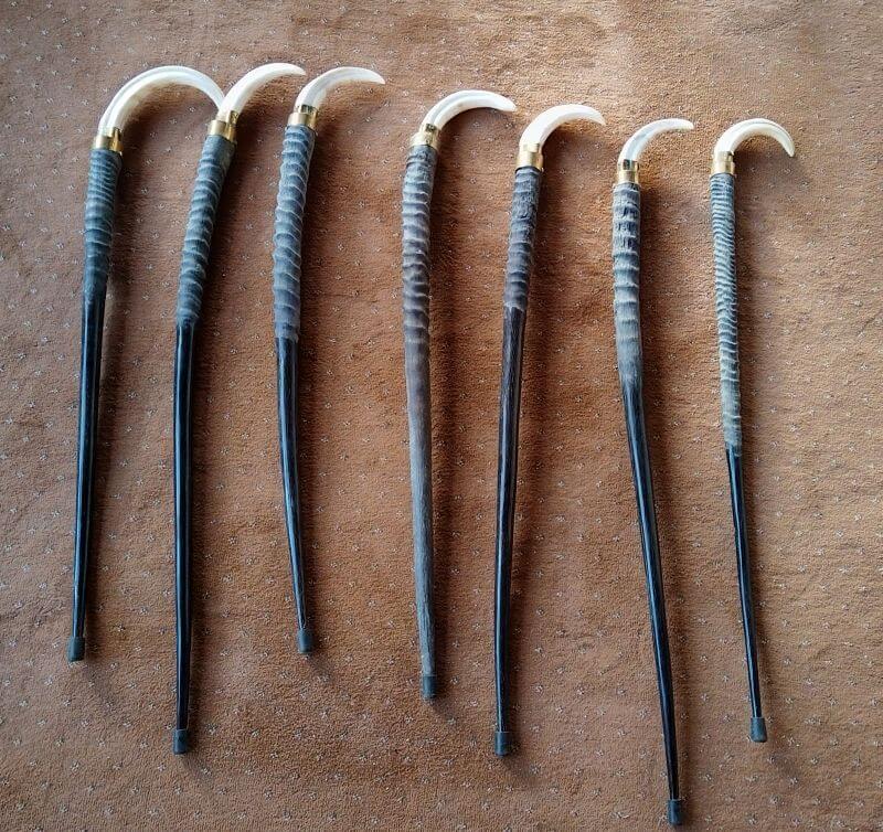 Gemsbok horn walking tick Gemsbok horn cane