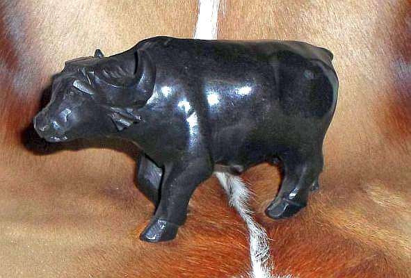 African stone Buffalo