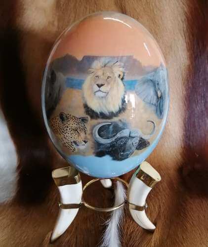 ostrich egg African animals