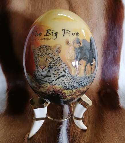 ostrich egg African animals