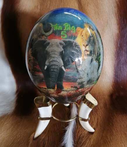 ostrich egg African animals