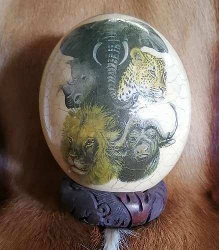 ostrich egg African animals - crackle