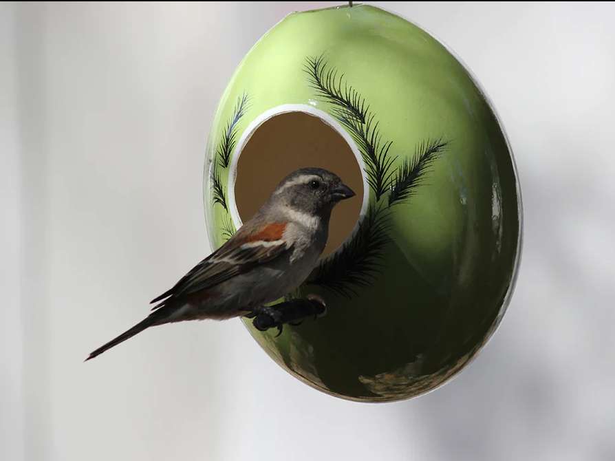 Ostrich egg bird feeder