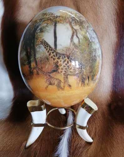 ostrich egg African animals - crackle