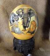 African big 5 ostrich egg