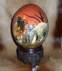Big 5 ostrich egg