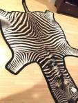 Zebra hides