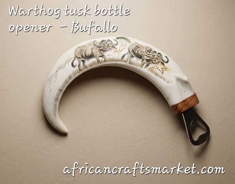 Detailed black ink scrimshaw etching of an African Cape Buffalo on a polished genuine warthog tusk bottle opener handle.