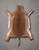 Authentic Tanned African Impala Hide Rug Close-up view of the supple leather backing and soft, fine hair-on coat of a professionally tanned impala skin