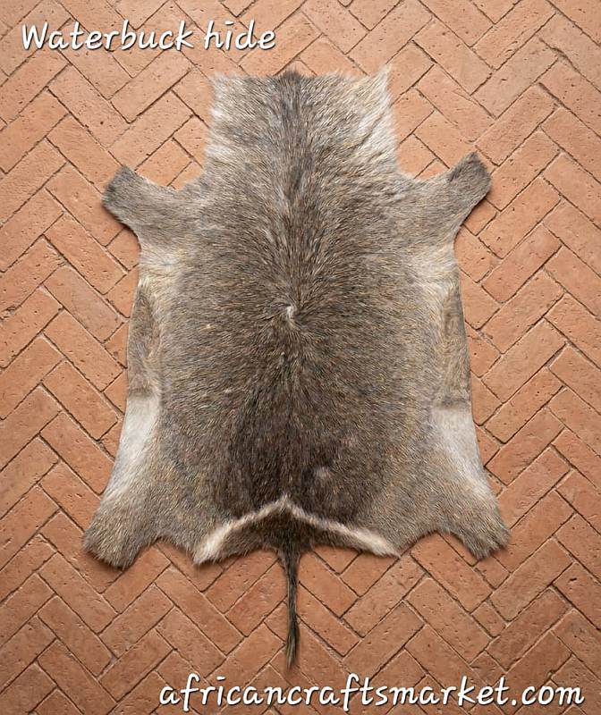 African Waterbuck Hide